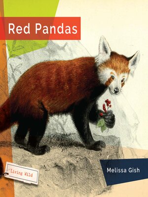 cover image of Red Pandas